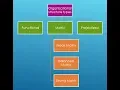 Types Of Organizational Structure Functional Matrix Projectized