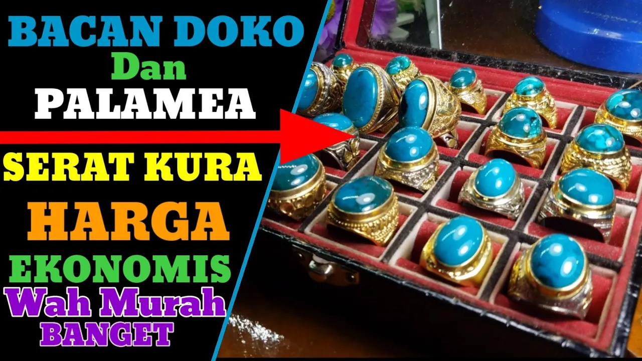 HARGA Rp.100 jt untuk 1 pcs BACAN DOKO SIZE LARGE #bacanmania #bacanlover #viral. 
