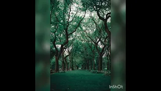 موسيقي مسلسل انحراف تانجو تو ايفورا 