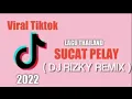 Lagu VIRAL DI TIKTOK SUCAT PELAY - LAGU THAILAND ( REGGAE JUMP ) DJ RIZKY REMIX 2022