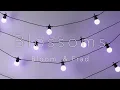 Download Lagu Blossoms // Bloom. \u0026 Frad