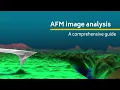 AFM image analysis A comprehensive guide