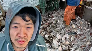 Commercial Draggers: An Honest Look at the American Squid Fishery
