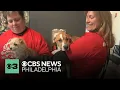 Meet some of the adoptable pets in Brandywine Valley SPCA s Mega Adoption Event