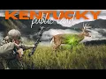 Public Land Bowhunting in Kentucky Chasing Big Bucks My First Bow Kill