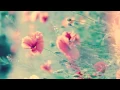 Ghiras al Akhlaqi | غراس الأخلاق - محمد المقيط | Muhammad al Muqit