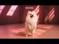 SODA POP x DOGS (Official Version)