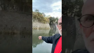 Cherry Blossoms Led Me to Japan’s Belonging Secret #japan #sakura #belonging