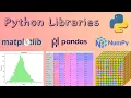 Master Python Libraries NumPy Pandas Matplotlib for Data Science