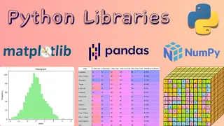 Master Python Libraries NumPy Pandas Matplotlib for Data Science