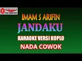 Download Lagu KARAOKE VERSI KOPLO JANDAKU - IMAM S ARIFIN (COVER) NADA COWO