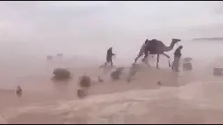 رأيتك ربي في كل شيء دندنها