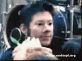 Limp Bizkit Nookie