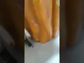 Funzilla