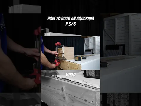How to build an aquarium P3/5