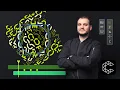 Introduction to Cavalry for Motion Graphics Domestika Course by Kyle Daily Cavalry Tutorials
