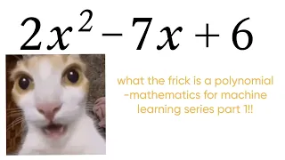 Intuition behind polynomials Mathematics for machine learning part 1