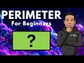 Perimeter Basics Everything You Need to Know