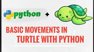 pyTurtle 2 Basic movements in turtle Python