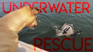 Under Water Rescue – Sink or Swim 190