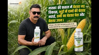 Kam chemical, behtar vikas — Growmor Nano DAP ke saath. 🌱