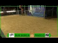Lindner Showpigs Farm Sale - Aug-08