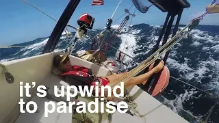 It’s upwind to paradise – Sailing Tarka Ep. 24