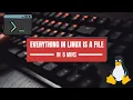 Everything in Linux is a File