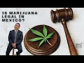 Legal Weed in Mexico What They Don t Tell You About Permits Courts and COFEPRIS