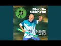 Download Lagu Mshini Wami