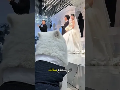 🎬 هل تخلت عن كلبها في يوم زفافها؟ 🐕💔
