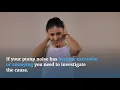 How to Sound Proof a Pool Pump