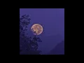 "SOUL" Sad / Rap Beat x PNL x Jok'Air Type Beat (By KoroProductions)
