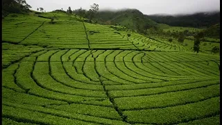 rancabali asri cipt d soer gpras 