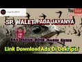 Download Lagu SP walet Respon ini sudah terbukti sejak 2012 || sp walet vietnam terbaik original