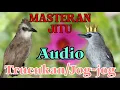 Download Lagu MASTERAN JITU | BURUNG TRUCUKAN | JOGJOG MP3.