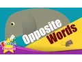 Opposite Words v1 Kids Vocab Big Small Open Close Easy Opposite Words