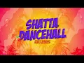 Download Lagu Shatta Dancehall Mix 2025 by DJ KENZO