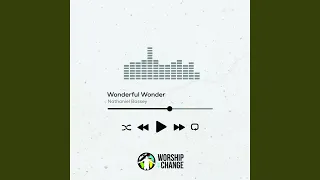 Download Wonderful Wonder MP3