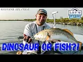A NEW TECHNIQUE TO CHASING REDFISH 19-2024 SouthEAST