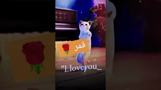 الاكتر طلبا قمر قمر العراق السعودية قطر الامارات الكويت البحرين اليمن الجزائر اكسبلور Cat ترند 