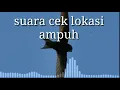 Download Lagu Suara walet cek lokasi ( Ceklok ) MANTAP