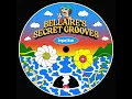 The Night - Bellaire