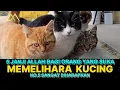 Download Lagu Inilah 5 Janji Allah Bagi Yang Suka Memelihara Kucing Menurut Islam