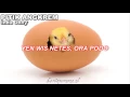 Download Lagu Pitik Angkrem Indah Onny  Karaoke , Jawa Karaoke, Javaans Karaoke .