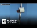 Fake flowers used to obstruct speed cameras across Staten Island