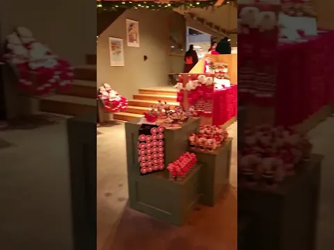 #shorts Já é Natal na Islândia!
