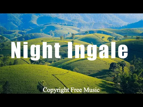 Download MP3 Nightingale l Copyright Free Music l Dynamo Audio Library