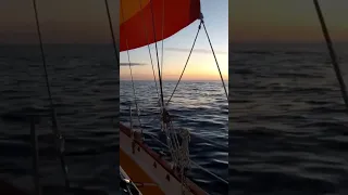 Calm Sailing ⛵️