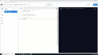 Python Basics Turtle Module 1